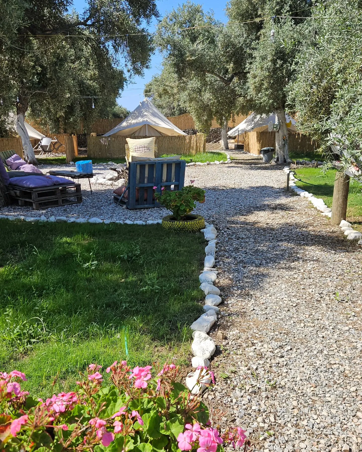 garden pathway