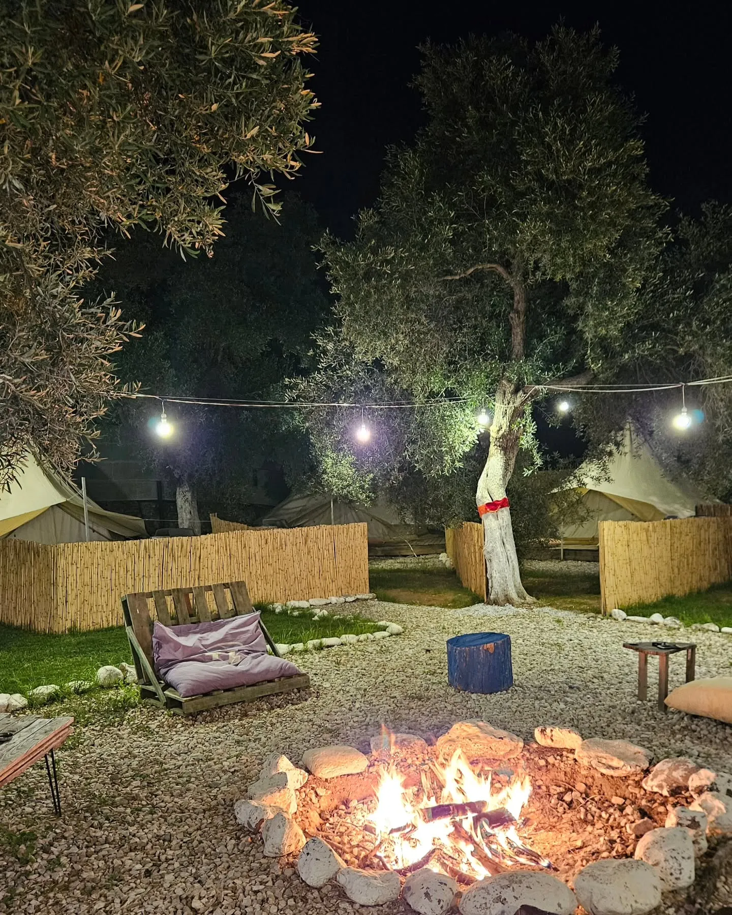 fire pit at night